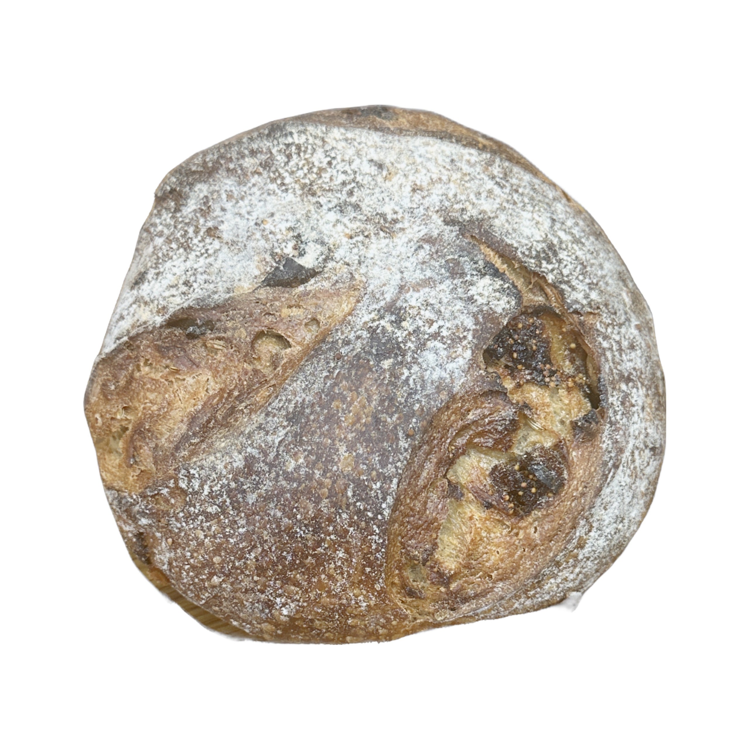 Fig + Fennel Bread Collection